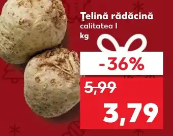 Kaufland Țelină rădăcină Ofertă