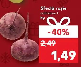 Kaufland Sfeclă roşie Ofertă
