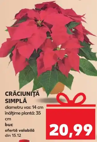 Kaufland CRĂCIUNIŢĂ SIMPLĂ Ofertă