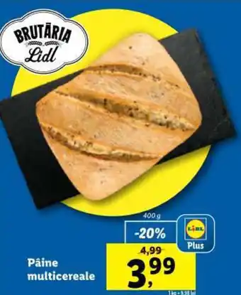 Lidl Pâine multicereale Ofertă