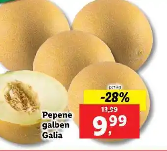 Lidl Pepene galben Galia Ofertă