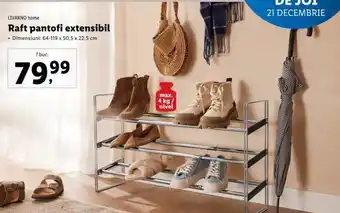 Lidl LIVARNO home Raft pantofi extensibil Ofertă