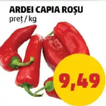 Penny ARDEI CAPIA ROȘU Ofertă