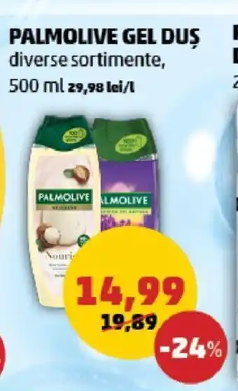 Penny PALMOLIVE GEL DUS Ofertă