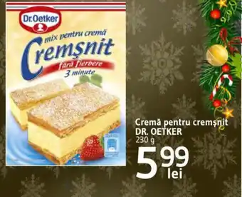 Cremă pentru cremsnit DR. OETKER