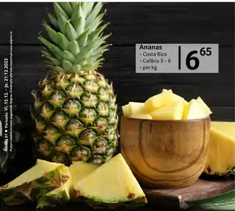 Selgros Ananas Ofertă