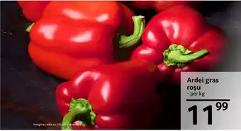 Selgros Ardei gras roșu Ofertă