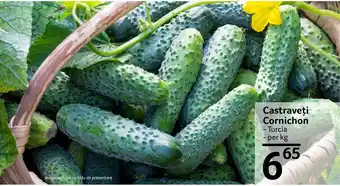 Selgros Castraveţi Cornichon Ofertă