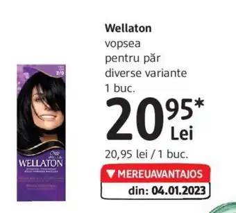 DM Wellaton vopsea pentru păr diverse variante Ofertă