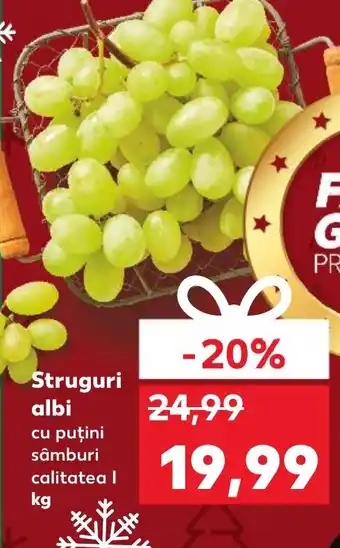 Kaufland Struguri albi Ofertă