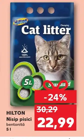 Kaufland HILTON Nisip pisici Ofertă