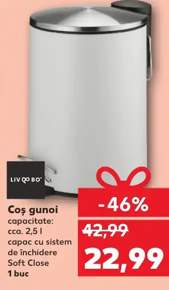 Kaufland Coş gunoi Ofertă