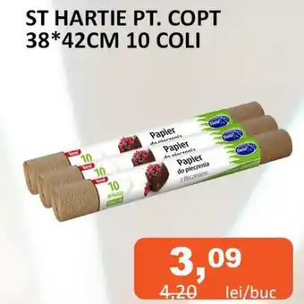 Unicarm ST HARTIE PT. COPT 38*42CM 10 COLI Ofertă