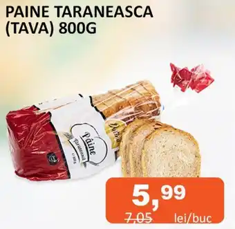 Unicarm PAINE TARANEASCA (TAVA) 800G Ofertă