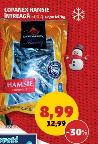 Penny COPANEX HAMSIE ÎNTREAGĂ Ofertă