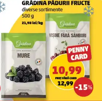 Penny GRĂDINA PĂDURII FRUCTE Ofertă