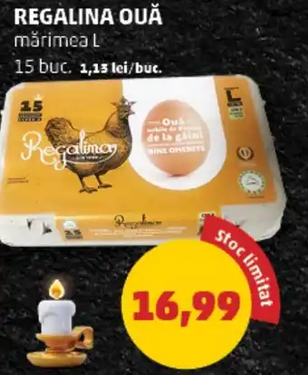 Penny REGALINA OUĂ Ofertă