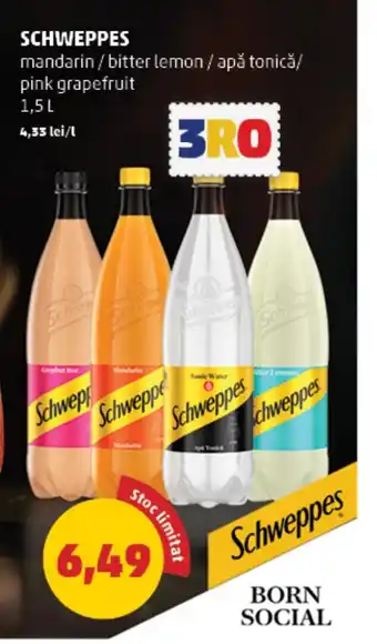 Penny SCHWEPPES Ofertă