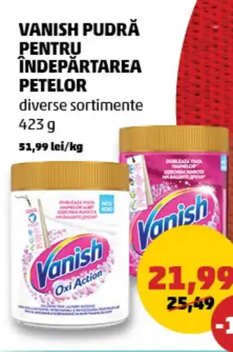 Penny VANISH PUDRĂ PENTRU ÎNDEPĂRTAREA PETELOR Ofertă