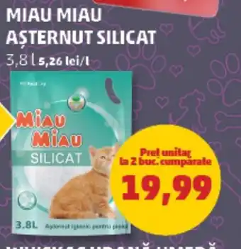 Penny MIAU MIAU ASTERNUT SILICAT Ofertă