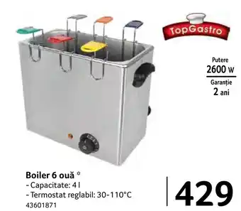 Selgros Boiler 6 ouă Ofertă