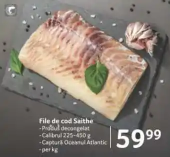 Selgros File de cod Saithe Ofertă