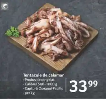 Selgros Tentacule de calamar Ofertă