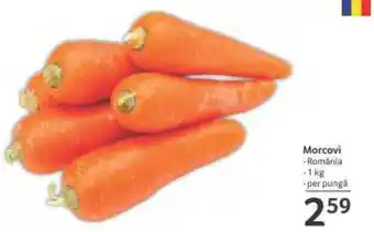Selgros Morcovi Ofertă
