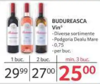 Selgros BUDUREASCA Vin Ofertă