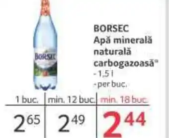 Selgros BORSEC Apă minerală naturală carbogazoasă Ofertă