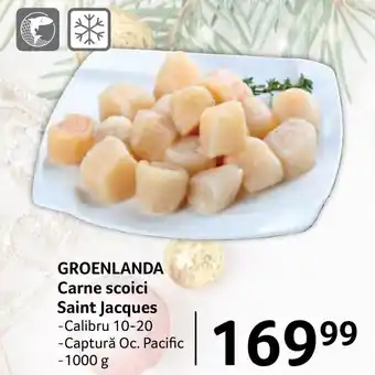 Selgros GROENLANDA Carne scoici Saint Jacques Ofertă