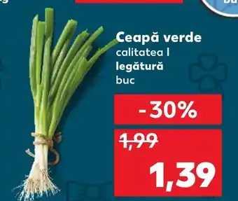 Ceapă verde