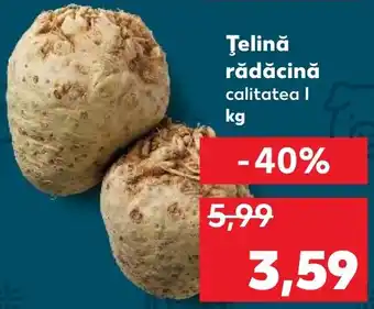 Kaufland Țelină rădăcină Ofertă