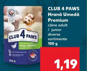 Kaufland CLUB 4 PAWS Hrană Umedă Premium Ofertă