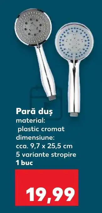 Kaufland Pară duş Ofertă