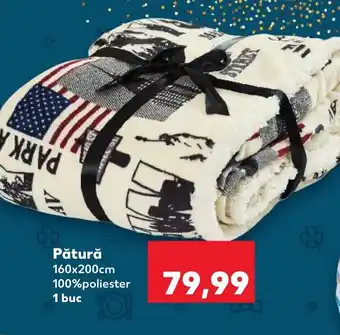 Kaufland Pătură Ofertă