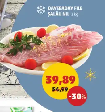 DAYSEADAY FILE ŞALĂU NIL 1kg