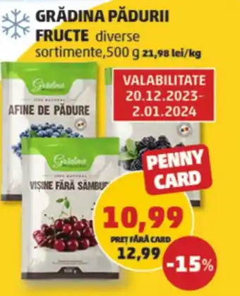 Penny GRĂDINA PĂDURII FRUCTE Ofertă