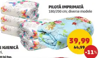 Penny PILOTĂ IMPRIMATĂ Ofertă