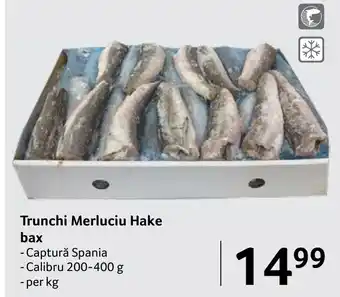 Selgros Trunchi Merluciu Hake bax Ofertă