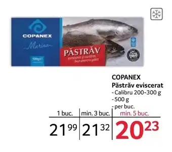 Selgros COPANEX Păstrăv eviscerat Ofertă
