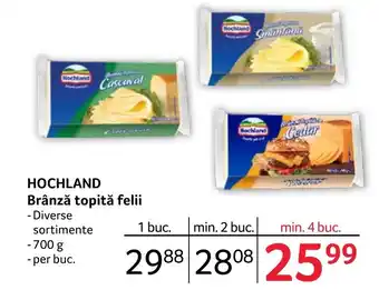 Selgros HOCHLAND Brânză topită felii Ofertă
