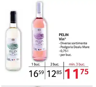 Selgros PELIN Vin Ofertă