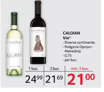 Selgros CALOIAN Vin Ofertă