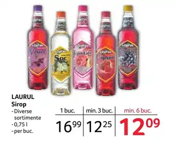 Selgros LAURUL Sirop Ofertă