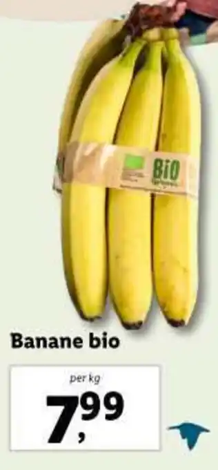Lidl Banane bio Ofertă