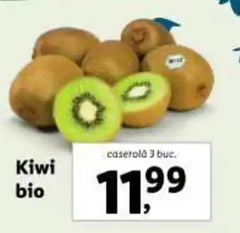 Lidl Kiwi bio Ofertă