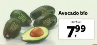 Lidl Avocado bio Ofertă