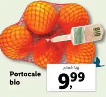 Lidl Portocale bio Ofertă