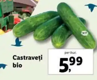 Castraveţi bio